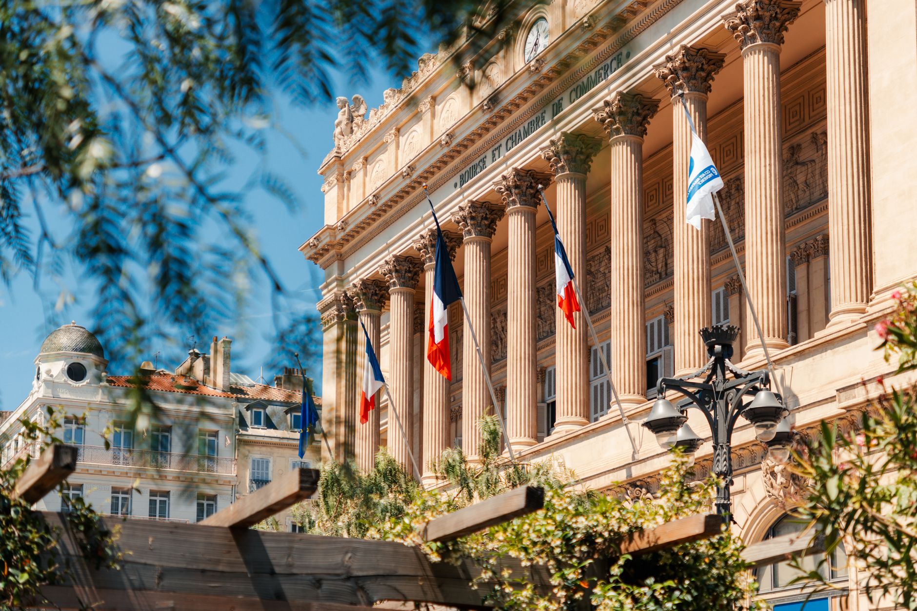 Chikungunya : Les véritables dangers pour les voyageurs en France