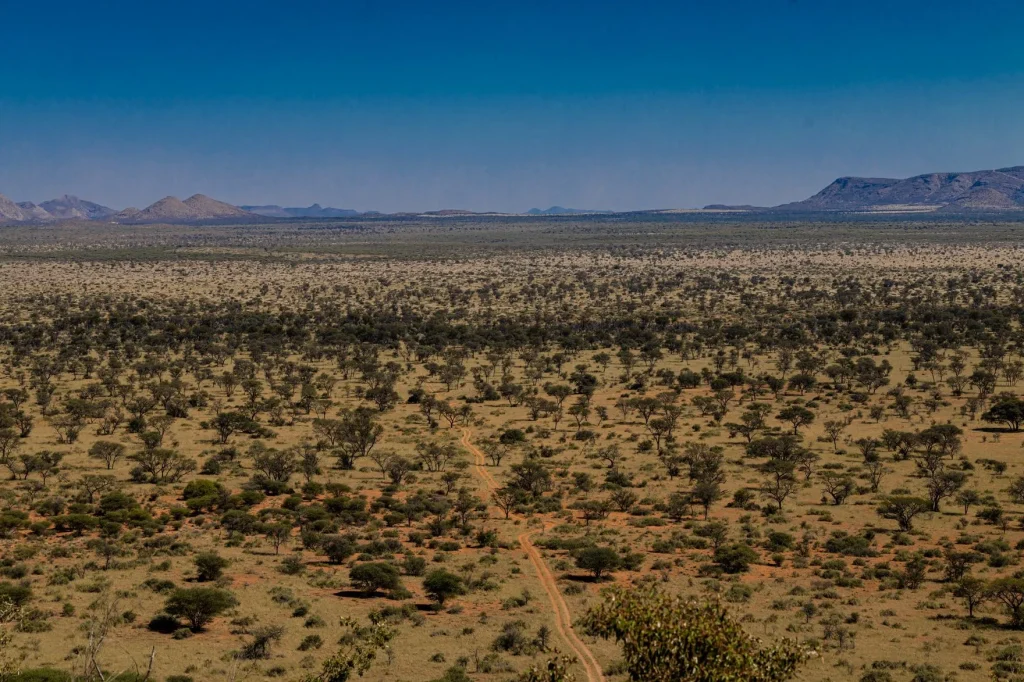 Est-il dangereux d’aller à Windhoek ?