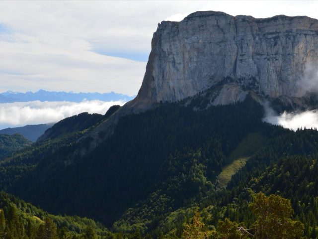 Santé en voyage : guide et ressources pratiques
