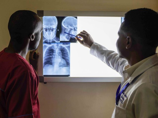 Chikungunya : quel impact pour les voyageurs en Guadeloupe ?